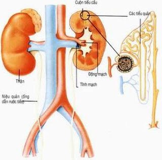 GÂY MÊ HỒI SỨC ĐỂ PHẪU THUẬT TUYẾN THƯỢNG THẬN