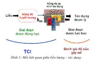 GÂY MÊ TĨNH MẠCH KIỂM SOÁT NỒNG ĐỘ ĐÍCH