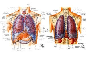 GÂY MÊ CHO PHẪU THUẬT LỒNG NGỰC