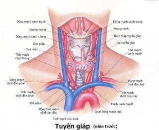 GÂY MÊ CHO BỆNH LÝ TUYẾN GIÁP