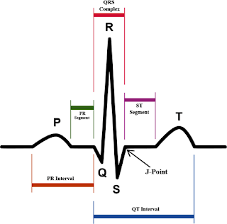 XỬ TRÍ CÁC RỐI LOẠN NHỊP VÀ DẪN TRUYỀN THƯỜNG GẶP TRONG GMHS