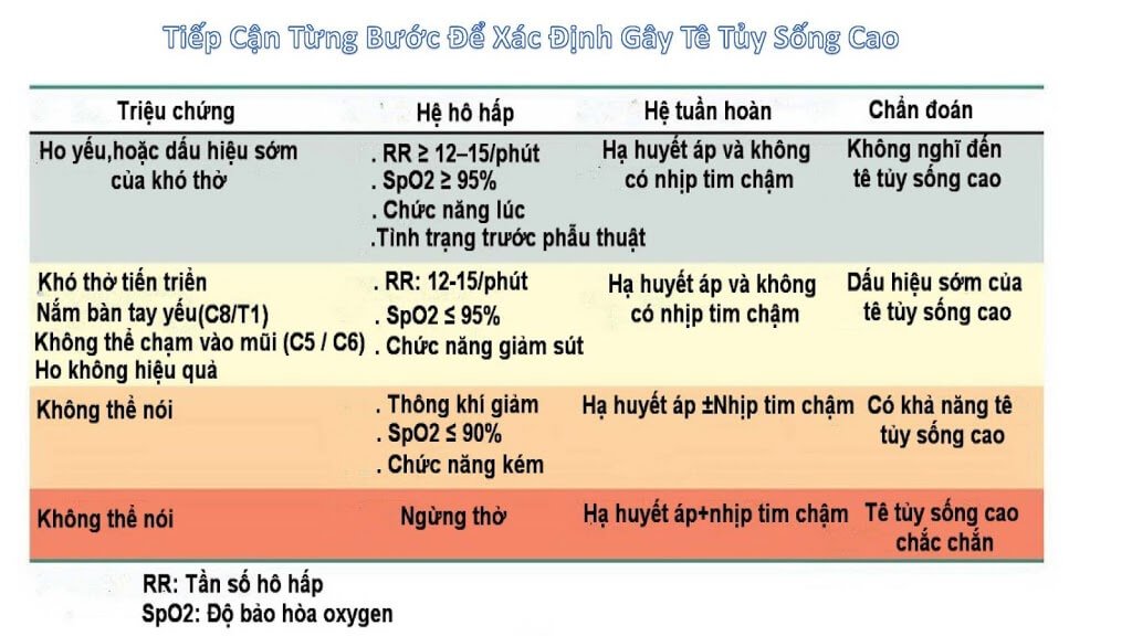 TÊ TỦY SỐNG TOÀN BỘ TRONG SẢN KHOA