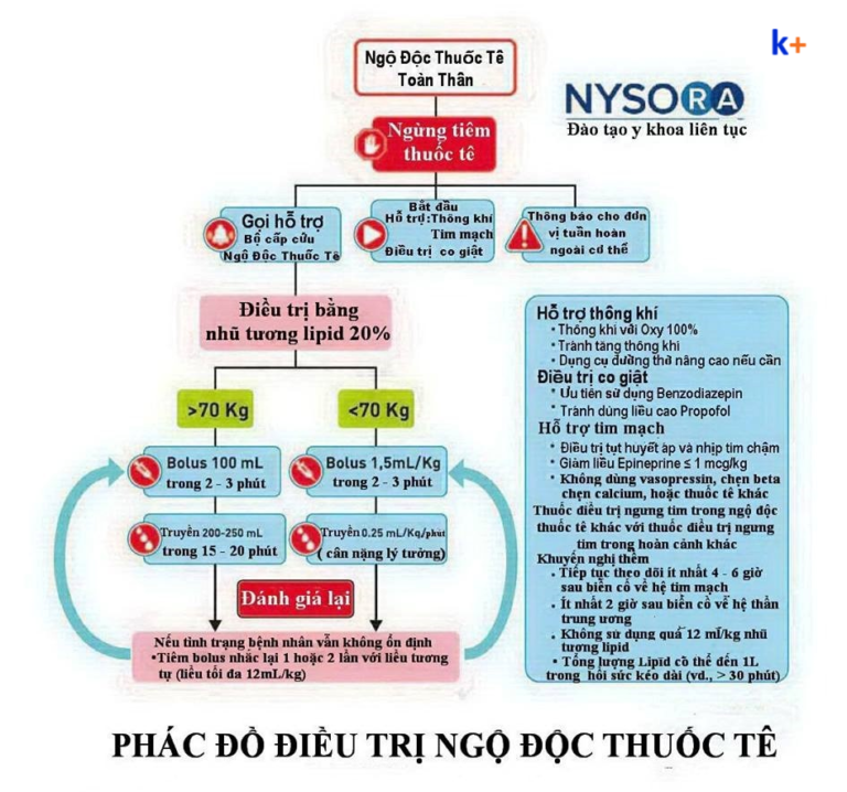 XỬ TRÍ NGỘ ĐỘC THUỐC TÊ