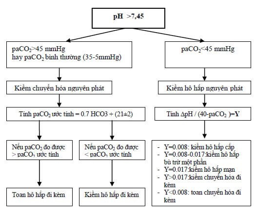 RỐI LOẠN THĂNG BẰNG TOAN KIỀM